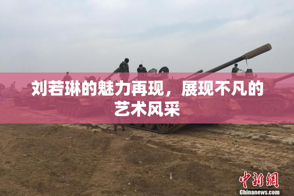 刘若琳的魅力再现，展现不凡的艺术风采
