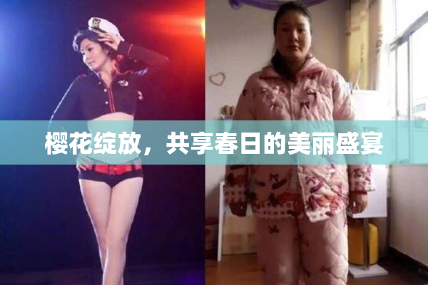 樱花绽放，共享春日的美丽盛宴