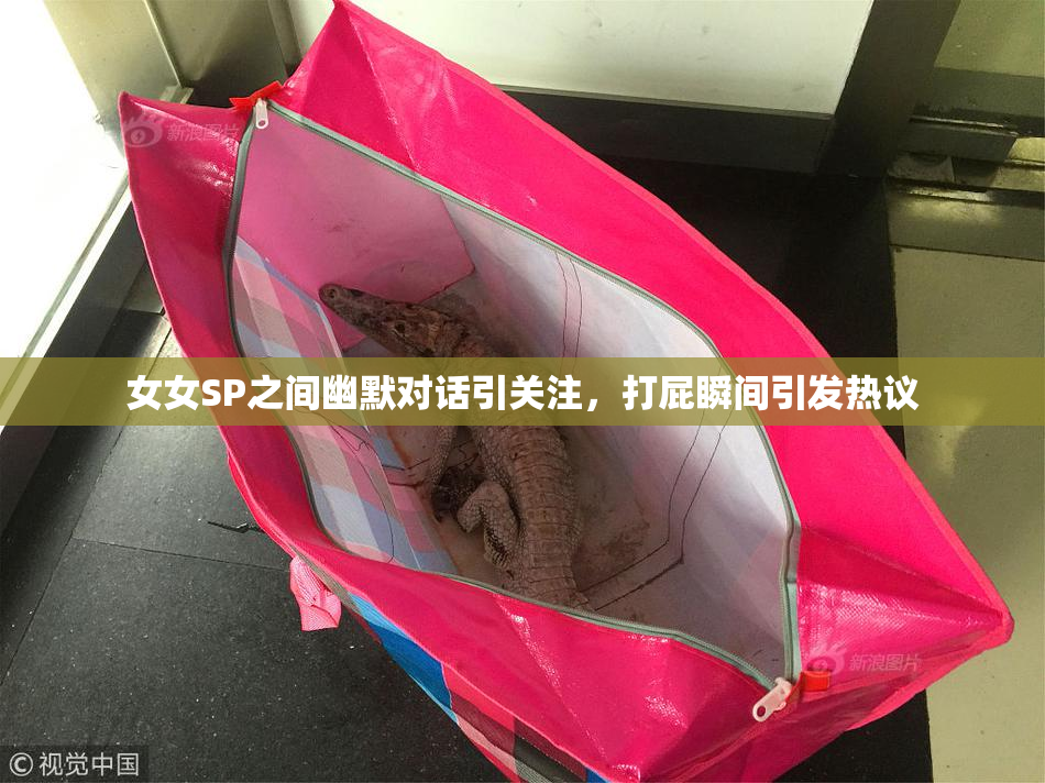 女女SP之间幽默对话引关注，打屁瞬间引发热议