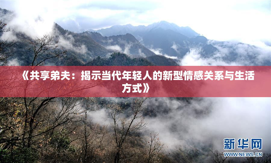 《共享弟夫：揭示当代年轻人的新型情感关系与生活方式》