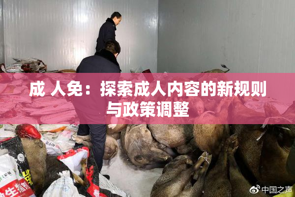 成 人免：探索成人内容的新规则与政策调整