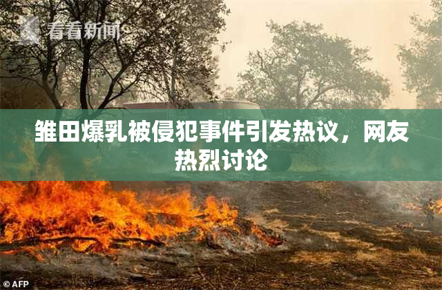 雏田爆乳被侵犯事件引发热议，网友热烈讨论