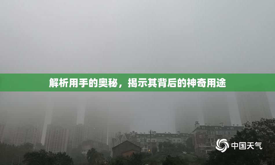 解析用手的奥秘，揭示其背后的神奇用途