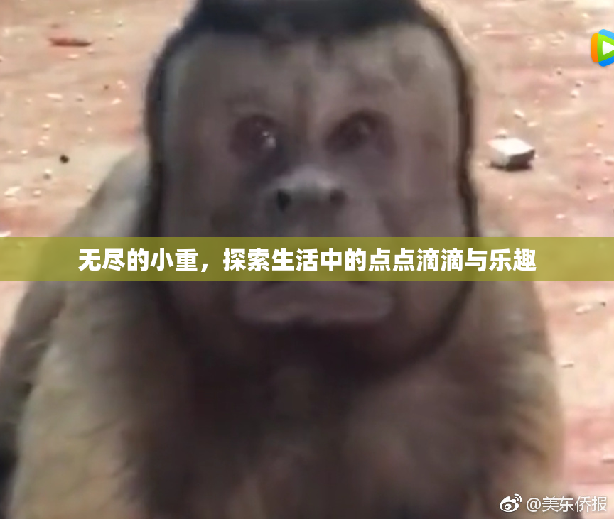 无尽的小重，探索生活中的点点滴滴与乐趣