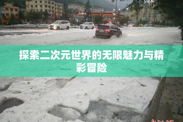 探索二次元世界的无限魅力与精彩冒险