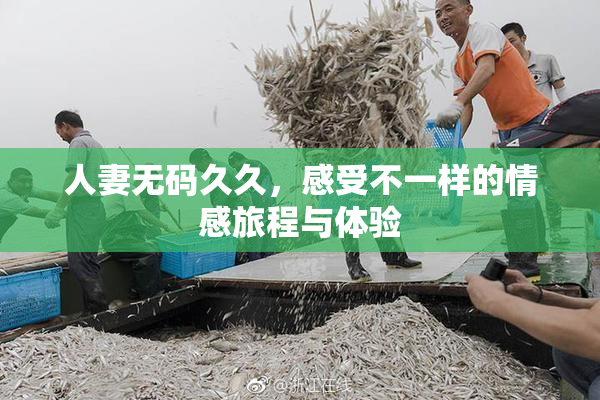 人妻无码久久，感受不一样的情感旅程与体验