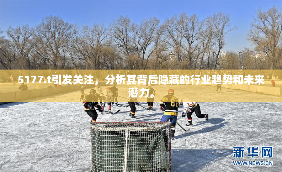 5177.t引发关注，分析其背后隐藏的行业趋势和未来潜力。