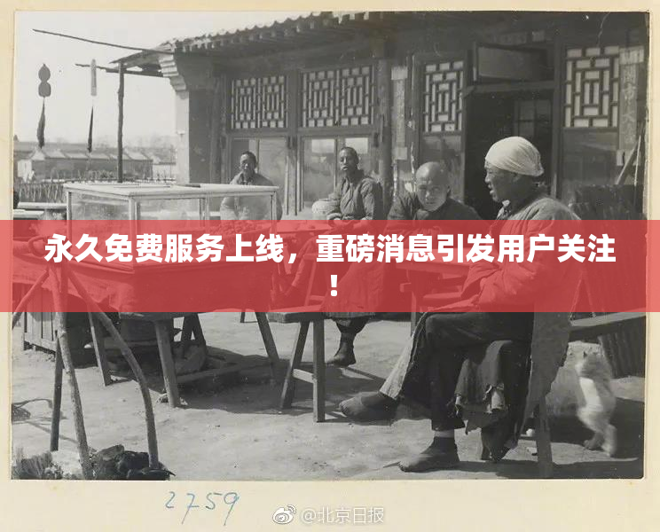 永久免费服务上线，重磅消息引发用户关注！