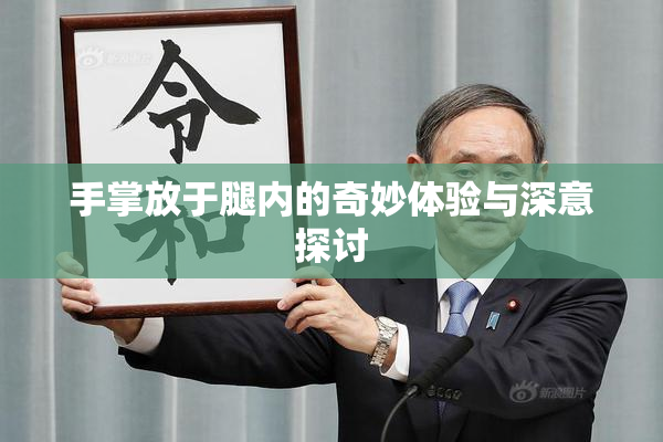 手掌放于腿内的奇妙体验与深意探讨