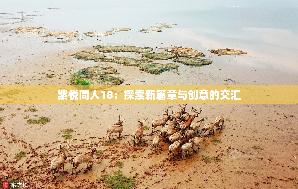 紫悦同人18：探索新篇章与创意的交汇