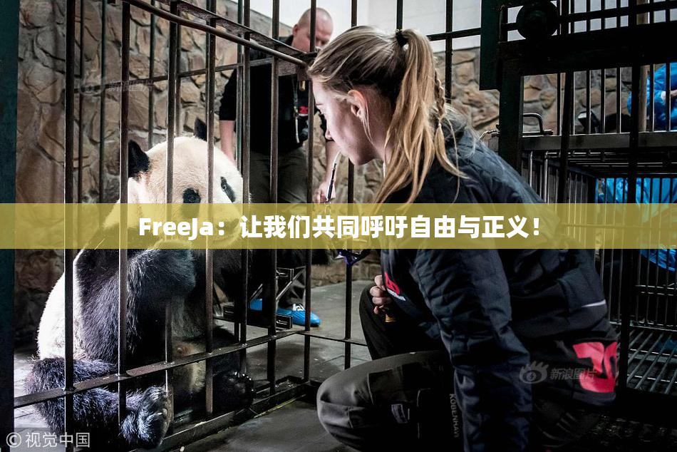 FreeJa：让我们共同呼吁自由与正义！