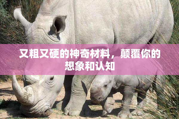 又粗又硬的神奇材料，颠覆你的想象和认知