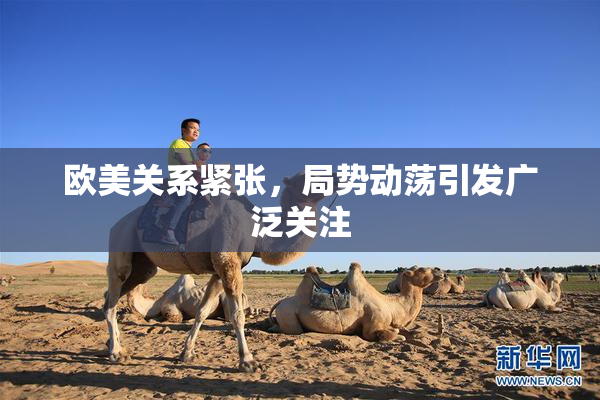 欧美关系紧张，局势动荡引发广泛关注