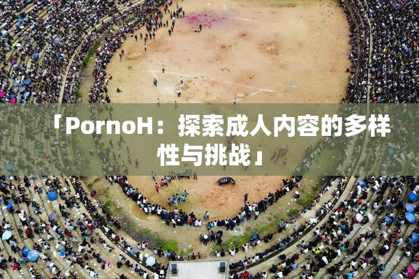 「PornoH：探索成人内容的多样性与挑战」