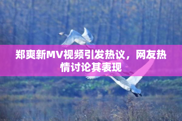 郑爽新MV视频引发热议，网友热情讨论其表现
