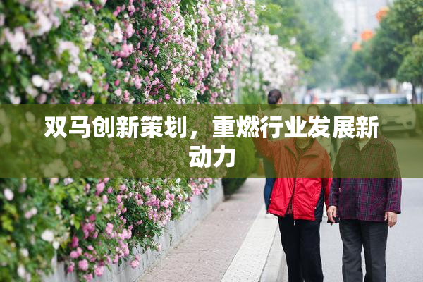 双马创新策划，重燃行业发展新动力