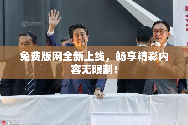 免费版网全新上线，畅享精彩内容无限制！