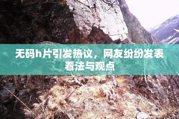 无码h片引发热议，网友纷纷发表看法与观点