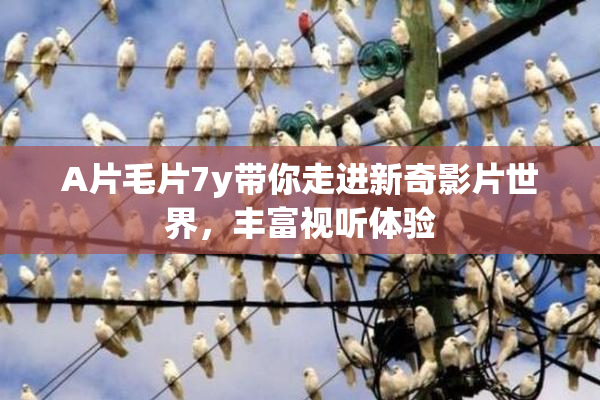 A片毛片7y带你走进新奇影片世界，丰富视听体验