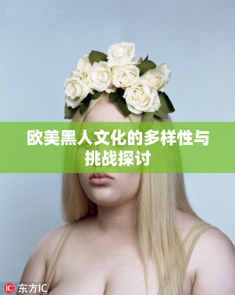欧美黑人文化的多样性与挑战探讨
