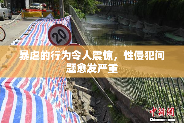 暴虐的行为令人震惊，性侵犯问题愈发严重