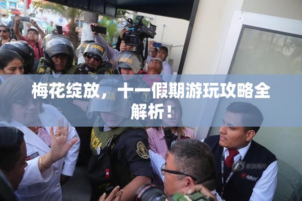 梅花绽放，十一假期游玩攻略全解析！