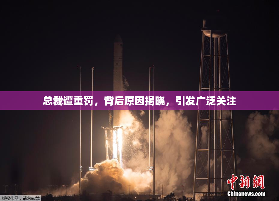 总裁遭重罚，背后原因揭晓，引发广泛关注