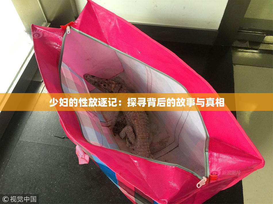 少妇的性放逐记：探寻背后的故事与真相