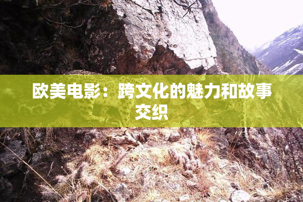 欧美电影：跨文化的魅力和故事交织