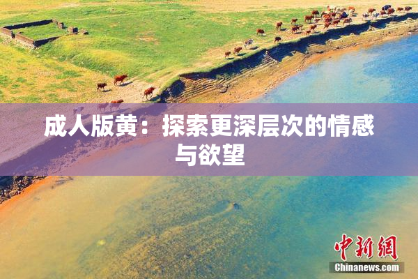 成人版黄：探索更深层次的情感与欲望