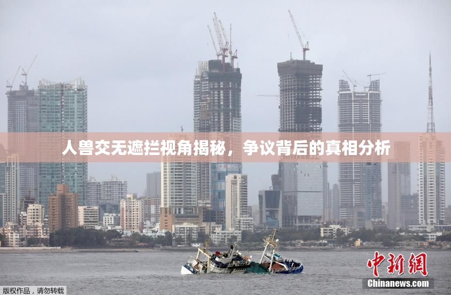 人兽交无遮拦视角揭秘，争议背后的真相分析