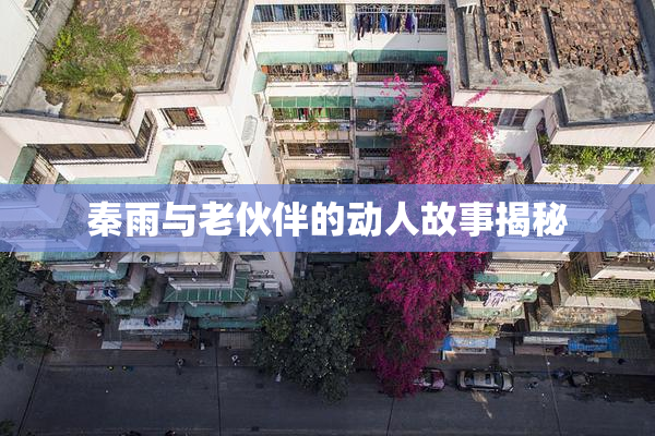 秦雨与老伙伴的动人故事揭秘