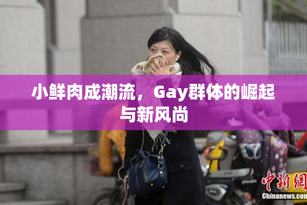 小鲜肉成潮流，Gay群体的崛起与新风尚