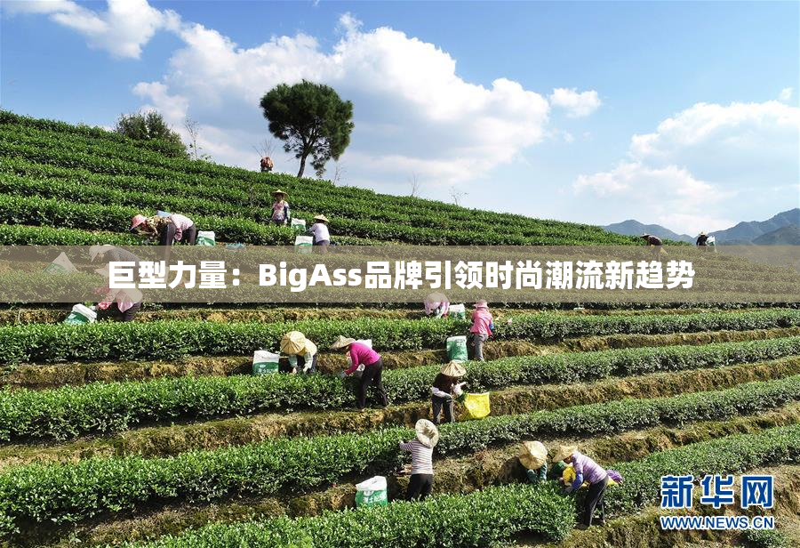 巨型力量：BigAss品牌引领时尚潮流新趋势