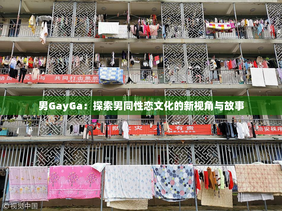 男GayGa：探索男同性恋文化的新视角与故事