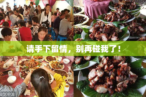 请手下留情，别再碰我了！