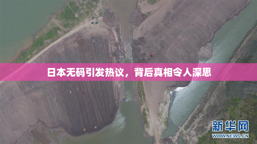 日本无码引发热议，背后真相令人深思