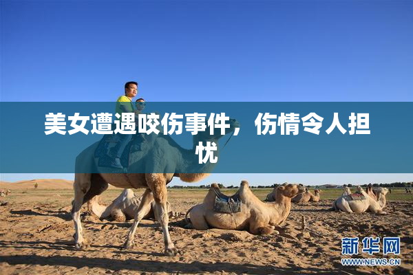 美女遭遇咬伤事件，伤情令人担忧
