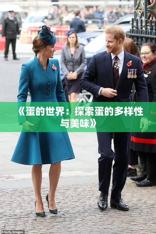 《蛋的世界：探索蛋的多样性与美味》