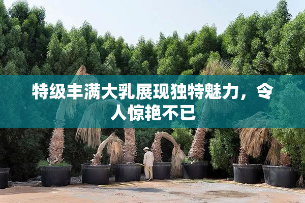 特级丰满大乳展现独特魅力，令人惊艳不已
