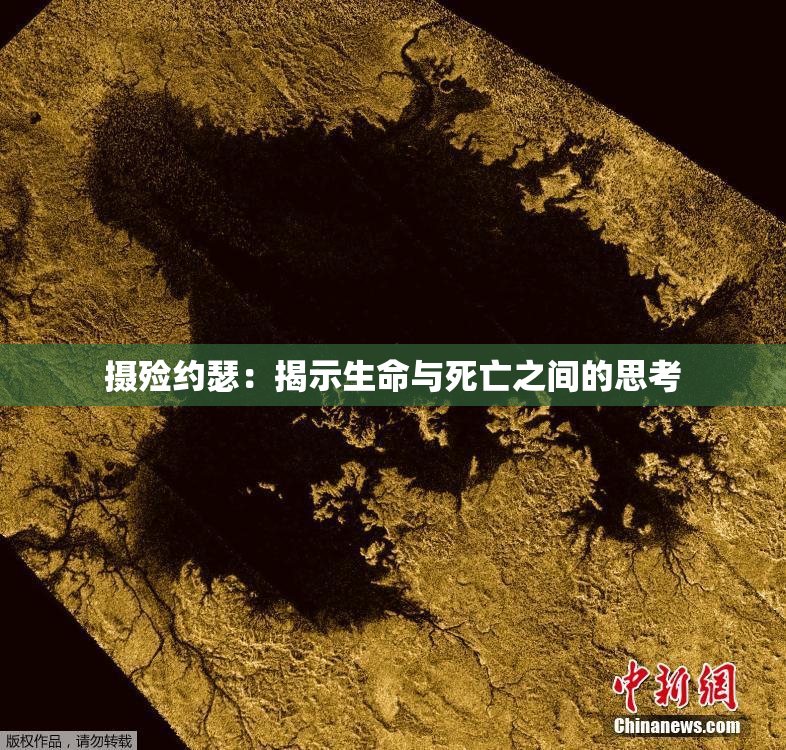 摄殓约瑟：揭示生命与死亡之间的思考
