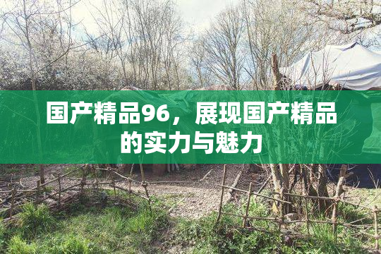 国产精品96，展现国产精品的实力与魅力