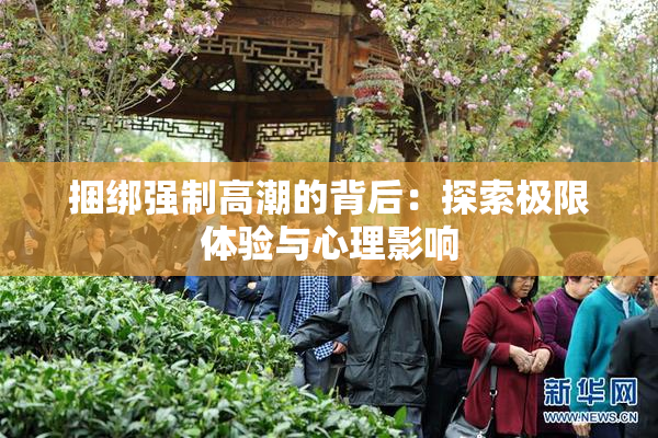 捆绑强制高潮的背后：探索极限体验与心理影响