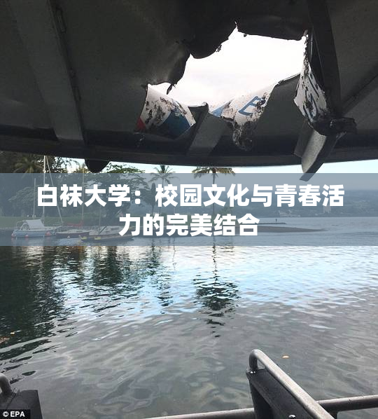 白袜大学：校园文化与青春活力的完美结合