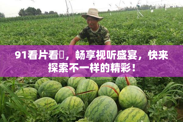 91看片看婬，畅享视听盛宴，快来探索不一样的精彩！