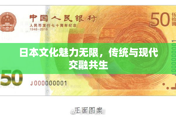 日本文化魅力无限，传统与现代交融共生