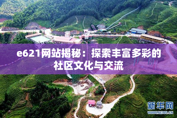 e621网站揭秘：探索丰富多彩的社区文化与交流