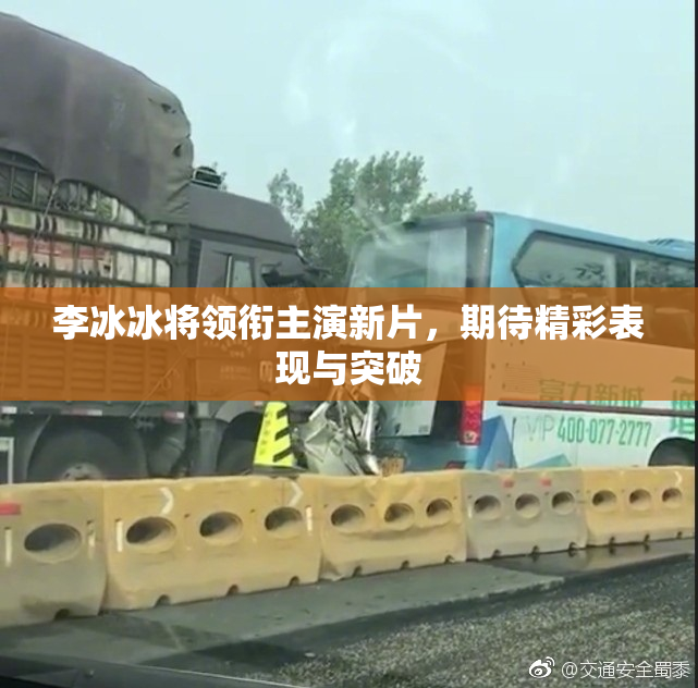 李冰冰将领衔主演新片，期待精彩表现与突破