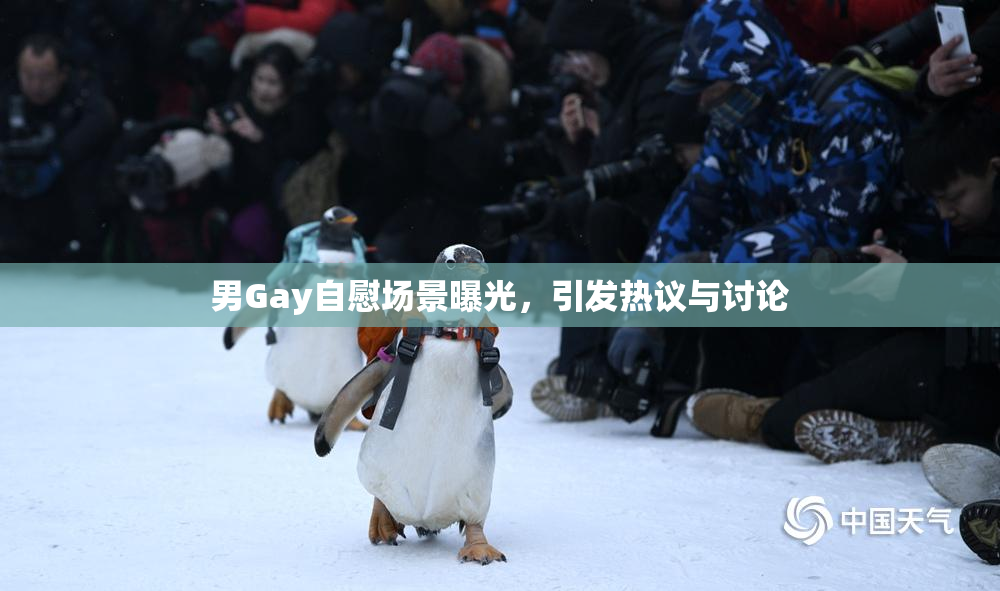 男Gay自慰场景曝光，引发热议与讨论