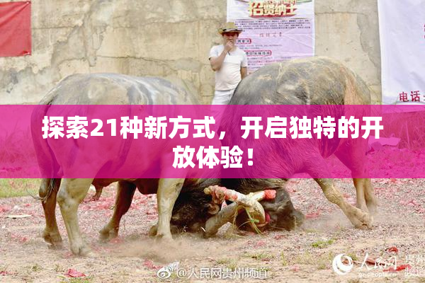 探索21种新方式，开启独特的开放体验！